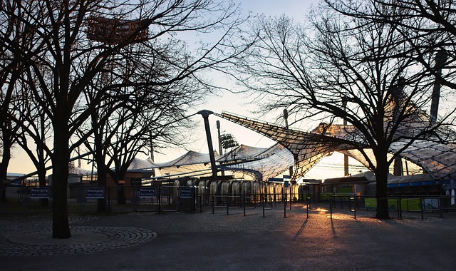 动中心将在 动中心将在