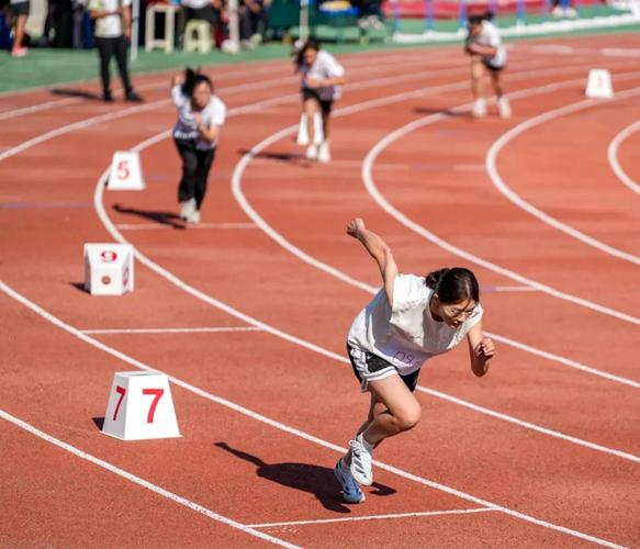 更是一门艺 更是一门艺